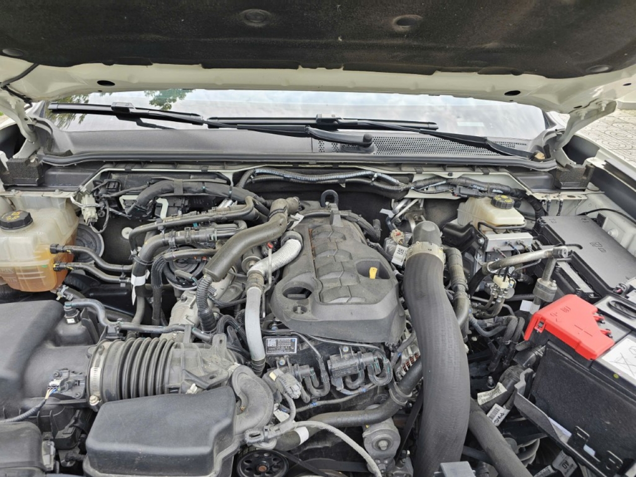 Ford Everest Titanium 4x4 2023 Màu Trắng ODO 35.000 Km Ford Everest Titanium 4x4 2023 Màu Trắng ODO 35.000 Km